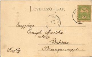 1904 Sztrecsnó, Sztrecsény, Strecno; Das Waagtal / Povazie, Hrad Strecno / Sztrecsnó vára a Vágvölgy...