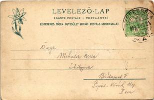 1909 Szepesbéla, Szepes-Béla, Spisská Belá (Szepes, Zips); Fő tér, Gyógyszertár, üzletek. Feitzinger...