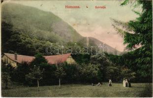 1914 Homonna, Homenau, Humenné; Szirtalja, nyaraló. Hossza Gyula kiadása / Podskalka, villa (lyuk / pinhole)