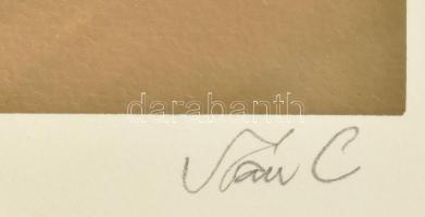 Szász Endre (1926-2003): Hölgy madaras kalapban. Szitanyomat, papír, jelzett, számozott (75/100), üv...