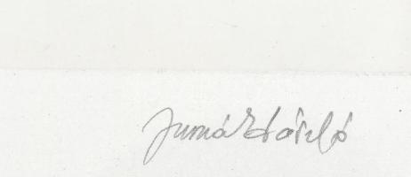 Jurcsák László: Nővérek. Tus, papír. Jelzett. Üvegezett alumínium keretben, 28x28 cm