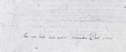 cca 2000 Salvador Dali nyomat, karton, műanyag keretben. 60x90 cm