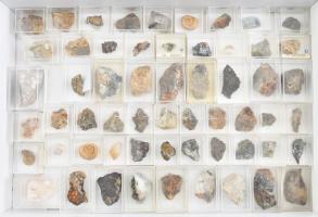 58 darabos vegyes ásvány, fosszília gyűjtemény, szépen egyesével tárolva, nagyrészt feliratozva. (Amoniteszek, kacoxenit, glauberit, stroncianit, Oppelia aspidoides, albit, stb.)