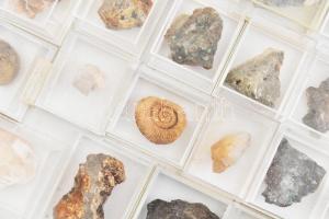 58 darabos vegyes ásvány, fosszília gyűjtemény, szépen egyesével tárolva, nagyrészt feliratozva. (Am...