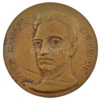 Tőrös Gábor (1934-2021) 1982 Ziffer Sándor emlékére bronz emlékérem (130mm) T:1- felül peremén lyukasztott