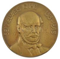 Tőrös Gábor (1934-2021) DN Semmelweis Ignác 1818-1865 bronz emlékérem (130mm) T:1- felül peremén lyukasztott