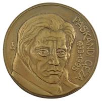 Tőrös Gábor (1934-2021) DN Páskándi Géza 1933-1995 öntött bronz emlékérem (130mm) T:1 hátoldalán  furat.