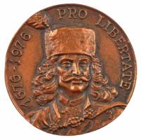 Molnár Elek (1916-1994) DN Pro Libertate 1676-1976 öntött bronz emlékérem (92mm) T:1 hátoldalán függesztő.
