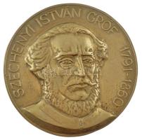 Tőrös Gábor (1934-2021) DN Széchenyi István gróf 1791-1860 öntött bronz emlékérem (147mm) T:1-hátoldalán furat
