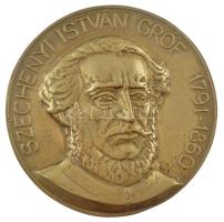 Tőrös Gábor (1934-2021) DN "Széchenyi István gróf 1791-1860" öntött bronz emlékérem (147mm) T:1-hátoldalán furat