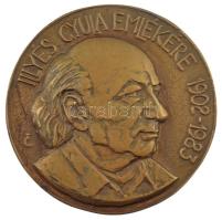 Tőrös Gábor (1934-2021) DN Illyés Gyula emlékére 1902-1983 bronz emlékérem (125mm) T:1- felül peremén lyukasztott.
