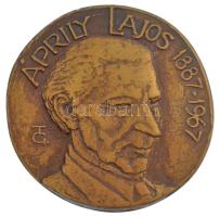 Tőrös Gábor (1934-2021) DN Áprily Lajos 1887-1967 öntött bronz emlékérem (125mm) T:1- hátoldalán furat