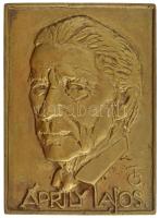 Tőrös Gábor (1934-2021) DN Áprily Lajos öntött bronz szögletes emlékplakett (145-107mm) T:1- hátoldalán furat