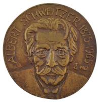 Tőrös Gábor (1934-2021) 1987 Albert Schweitzer 1875-1965 bronz emlékérem (102mm) T:1- felül peremén lyukasztott.