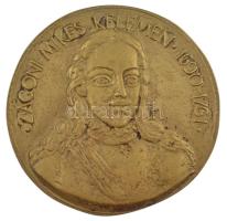 Tőrös Gábor (1934-2021) DN Zágoni Mikes Kelemen 1690-1761 öntött bronz emlékérem (139mm) T:2 hátoldalán furat