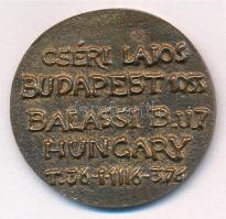 Cséri Lajos (1928-) DN bronz névjegyérem (35mm) T:1-