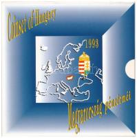 1993. 10f-200Ft (10 xklf) "Magyarország pénzérméi" forgalmi sor dísztokban,+ 1993. 200Ft Ag "MNB", a belső dísztokon a ragasztás részben elengedett T:BU patina Adamo FO26