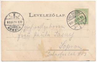 1903 Nagykanizsa, Dampfmühle und Elektricitätswerk Ludwig Franz & Söhne / Franz Lajos és Fiai Gő...