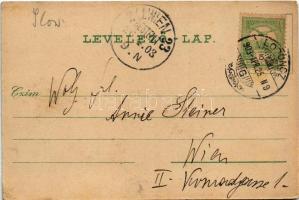 1903 Losonc, Lucenec; látkép, zsinagóga. Kármán kiadása / general view with synagogue (EK)