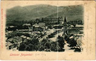 1900 Zólyom, Zvolen; látkép, vár. Löwy Miksa kiadása / Zvolensky hrad / general view, castle (vágott / cut)