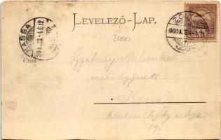 1900 Zólyom, Zvolen; látkép, vár. Löwy Miksa kiadása / Zvolensky hrad / general view, castle (vágott...