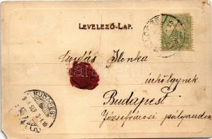 1903 Lőcse, Levoca; Leutschauer Zierbrunnen / Lőcsei díszkút. Latzin János kiadása / fountain (EM)