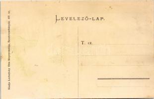 Borosznófürdő, Brusno-kúpele (Borosznó, Brusznó, Brusno); Lajos lak. Lechnitzky Otto 107. / villa (R...