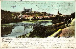 1904 Pozsony, Pressburg, Bratislava; Duna-parti látkép, vár. Heliocolorkarte von Ottmar Zieher / general view, castle (EK)