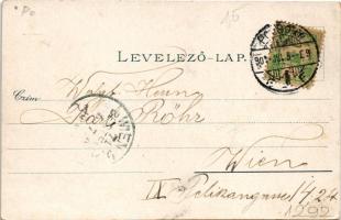 1904 Pozsony, Pressburg, Bratislava; Duna-parti látkép, vár. Heliocolorkarte von Ottmar Zieher / gen...