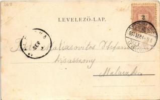 1899 (Vorläufer) Pozsony, Pressburg, Bratislava; Duna-parti látkép, vár. Edgar Schmidt kiadása / gen...