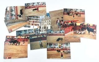 Bikaviadalokról készült modern fotók, kb. 40 db