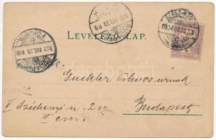 1900 Szászrégen, Reghin; Haupteingang zum Stadtpark, Festhalle. Gustav Rösler No. 1798. / főbejárat ...