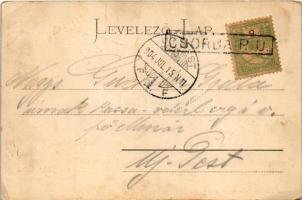 1904 Tátra, Magas-Tátra, Vysoké Tatry; Vendéglő és Szentiványi villa a Csorba tónál / Restauration u...