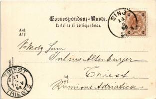 1898 (Vorläufer) Sinj, Signo; Gruss aus Sinj in Dalmatien