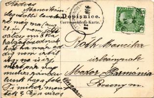 1910 Lopar, Loparo (Rab, Arbe); Pozdrav iz Lopara (Rab) strana Senjske buke. Fotogr. Luigi Mioni. De...