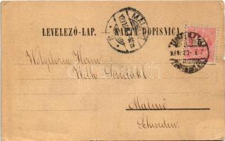 1898 (Vorläufer) Zagreb, Zágráb; Dio Zrinjevca s akademijom / academy (b)