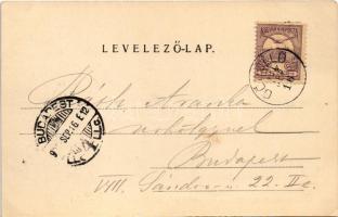 1901 Gödöllő, Királyi kastély (fl)