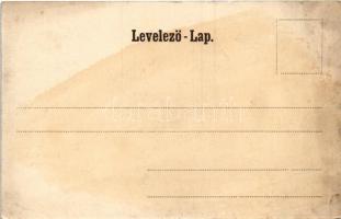 Újvidék, Neusatz, Novi Sad; Városháza, piac. Milan Ivkovic kiadása / town hall, market (fl)