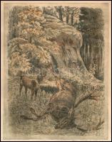 Zágonyi Szabó Lajos (?-): Elejtett szarvasbika (vadászat). Színezett rézkarc, papír, kissé foltos, k...