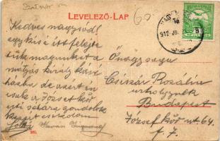 1912 Nagykároly, Carei; Deák Ferenc tér, Politzer Ignác, Heinrich János, Hadnagy Ignác és Róth Lipót...