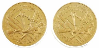 Svájc 2014. "Schweizer Militargeschichte / Schweizer kunstflugstaffel" aranyozott Cu emlék...