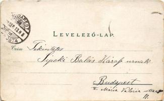 1898 ? (Vorläufer) Arad, Városház tér, Csanádi palota, Pénzügyi palota. Révész Nándor kiadása / town...