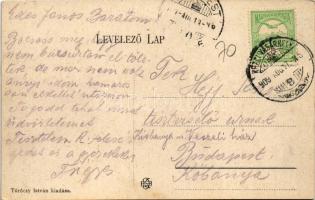 1909 Kézdivásárhely, Targu Secuiesc; Fő tér, piac, Nemzeti szálló, Nagy Sándor és Szabó Albert üzlet...