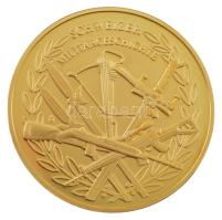 Svájc DN "Schweizer Militargeschichte / Schlacht bei hard" aranyozott Cu emlékérem kapszul...