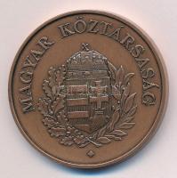 Fűz Veronika (1951-) ~1990. "Deák Ferenc 1803-1876 / Magyar Köztársaság" kétoldalas bronz ...