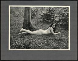 cca 1910 4 db aktfotó, nyomatok, kartonon, 17x22 cm és 18x26 cm közötti méretben