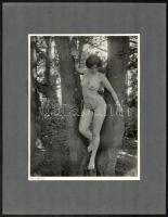 cca 1910 4 db aktfotó, nyomatok, kartonon, 17x22 cm és 18x26 cm közötti méretben