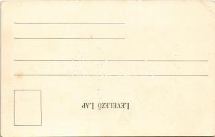 Buziás, Buziásfürdő, Baile Buzias; Loydolt Henrik vendéglője a nyári szaletlivel és télen, szálloda,...