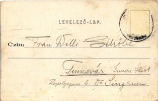 Buziás, Buziásfürdő, Baile Buzias; Templom utca. Nosek Gusztáv kiadása / Church Street (EK)