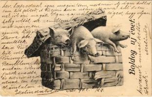 1902 Boldog új évet! malac kosár / New Year greeting, pig basket. B.KW.I. 2514/1. (EK)